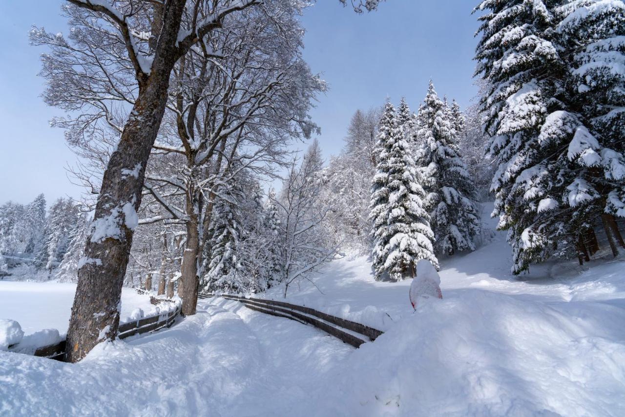 Chalet Traumblick Mauterndorf  Exterior foto